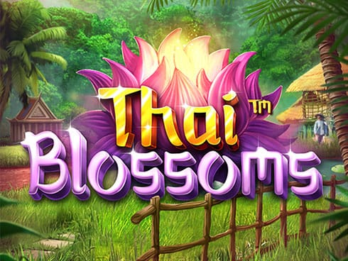 تھائی بلوسمز thumbnail