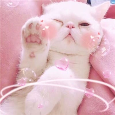 Abdul Razzaq avatar